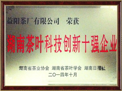 科技創(chuàng  )新十強企業(yè)