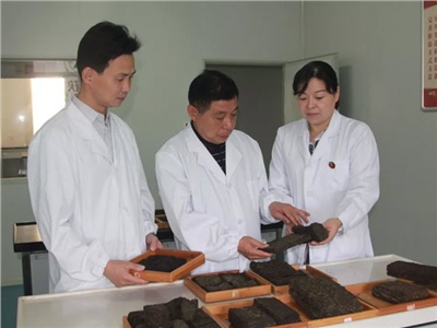 傳承茯茶非遺技藝、開(kāi)拓創(chuàng  )新引領(lǐng)行業(yè)發(fā)展