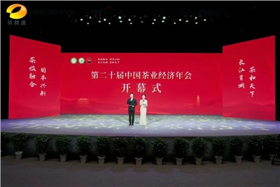 【聚焦第二十屆中國茶業(yè)經(jīng)濟年會(huì )】益陽(yáng)茶廠(chǎng)榮獲“民族團結互助企業(yè)”、“2024年度茶業(yè)重點(diǎn)企業(yè)”榮譽(yù)稱(chēng)號