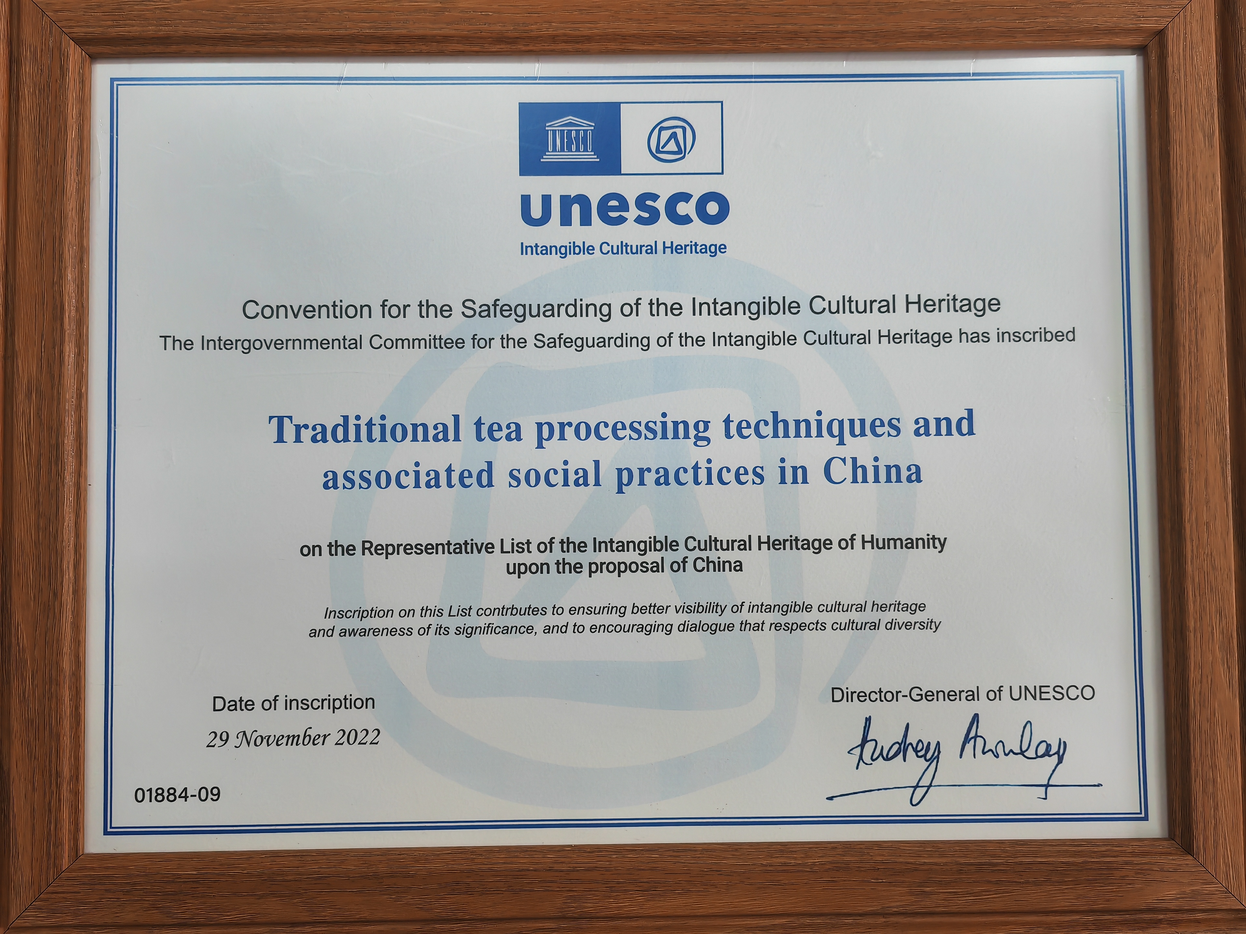 入選聯(lián)合國教科文組織人類(lèi)非遺代表作名錄